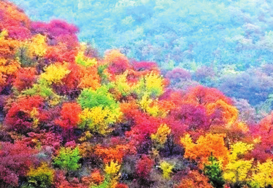 QQ截图20191117210504.png