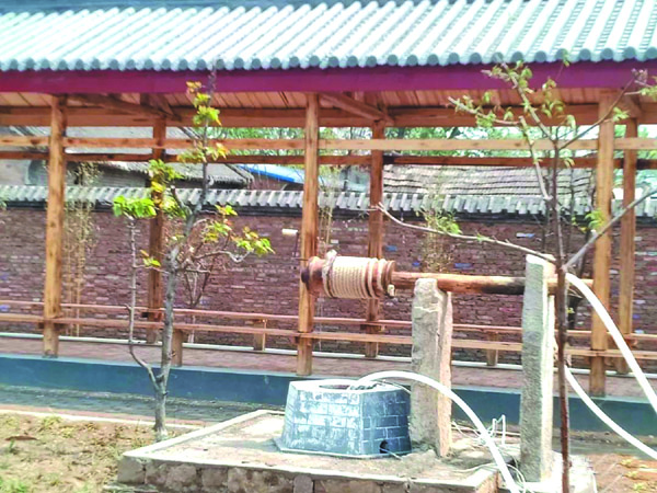 0429-5.jpg
