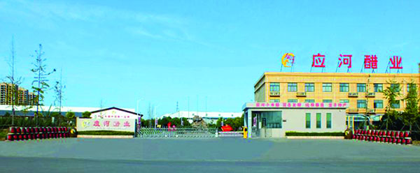 0702-2.jpg