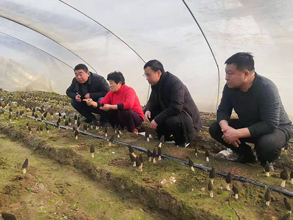 微信图片_20210128184739.jpg