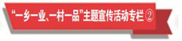 360截图20210309190236385.jpg