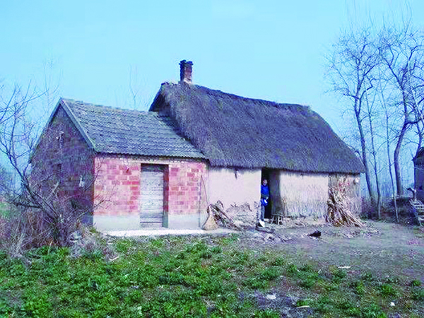 3-10-00.jpg