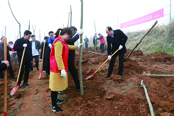 1615721001724593.jpg 20210315001.jpg