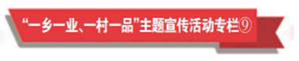 360截图20210331181505295.jpg