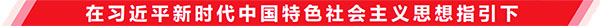 习近平社会主义指引下.jpg