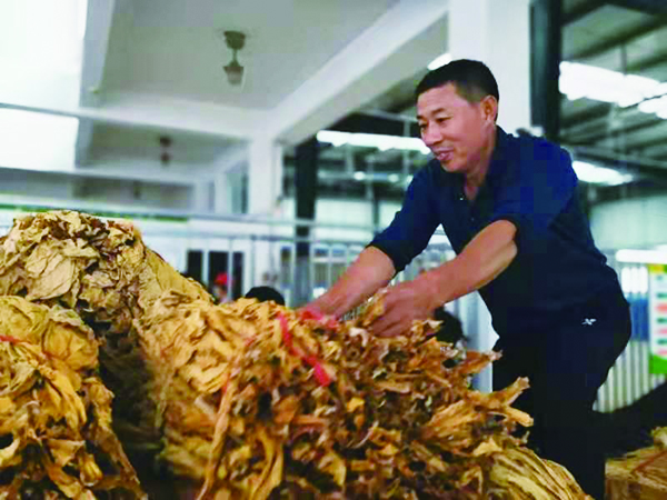 1633949789708819.jpg 3版101202.jpg