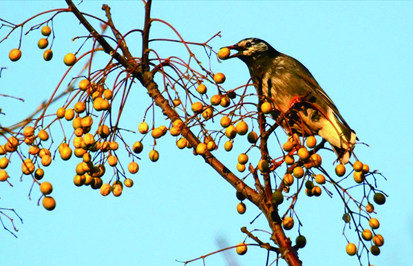 1762164677723340.jpg 4版11-4-2.jpg