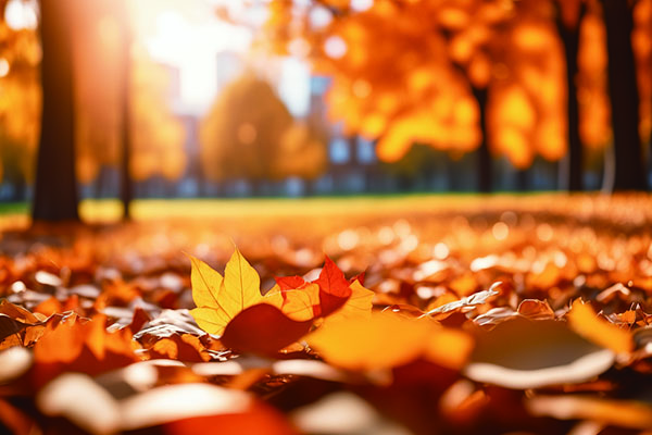 1762770343762342.jpg 4版11-11-3.jpg