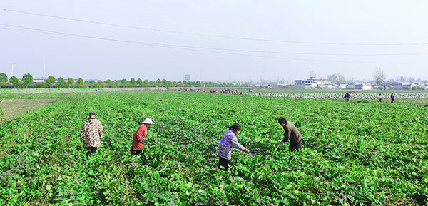 1762855901339727.jpg 2-11-12-01.jpg