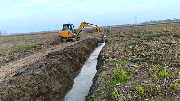 1763373429481166.jpg 2-11-18-01.jpg