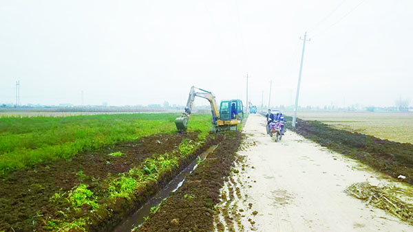 1763546276346093.jpg 2-11-20-01.jpg