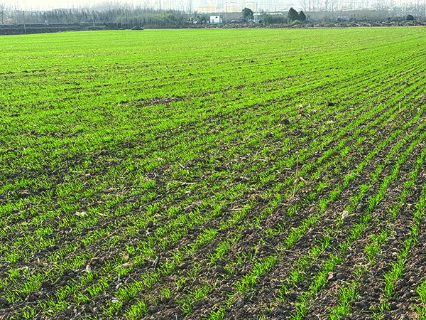 1764592404677622.jpg 8e21d358dff0c540f3fc898573304888.jpg