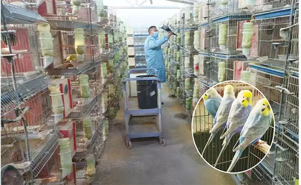 1764846836543038.jpg 353de8a98e119a1d5bbdecdc1b7fb9f2.jpg