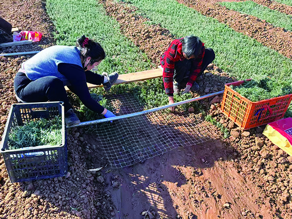 1765274257529976.jpg 2版-12-10.jpg