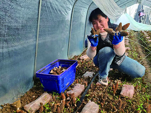 1773739865850228.jpg 2-3-18-02.jpg