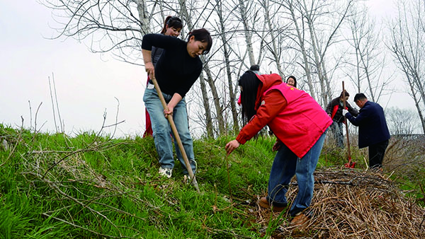 1773912985463245.jpg 2-3-20-01.jpg