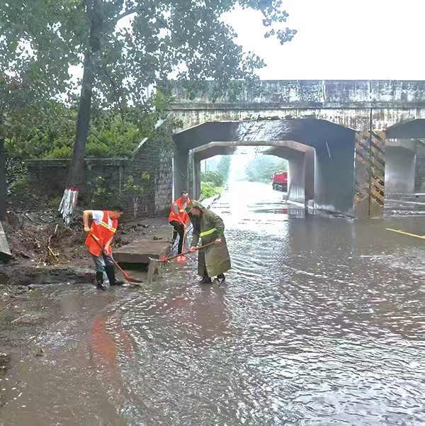 1648d331eac750094b16a7f84b59ddcd.jpg